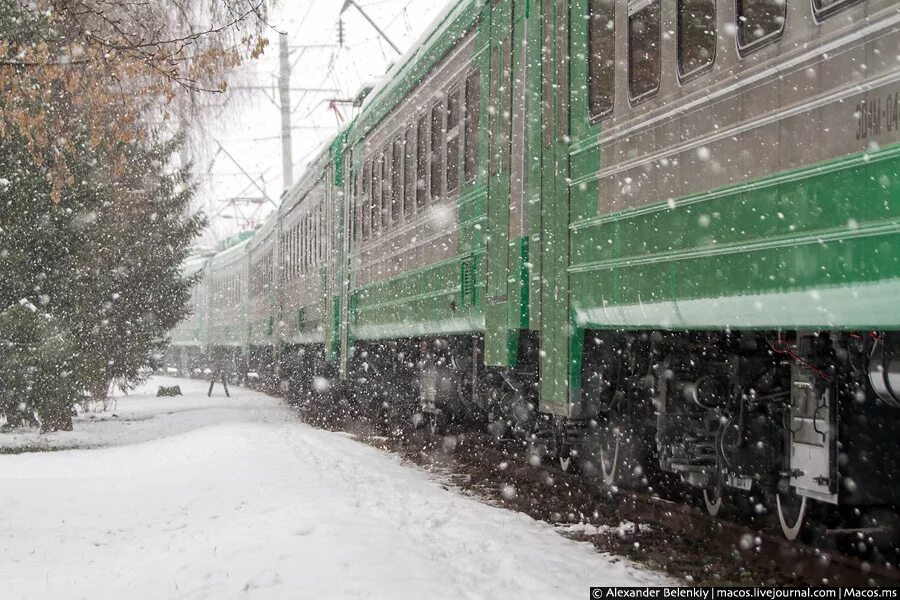 Зеленый поезд слова. Зеленый поезд. Поезд РЖД зеленый. Старый поезд. Старые зеленые электрички.