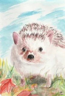Как нарисовать ежика красками