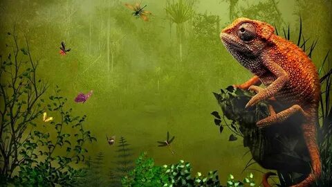 Фон хамелеон