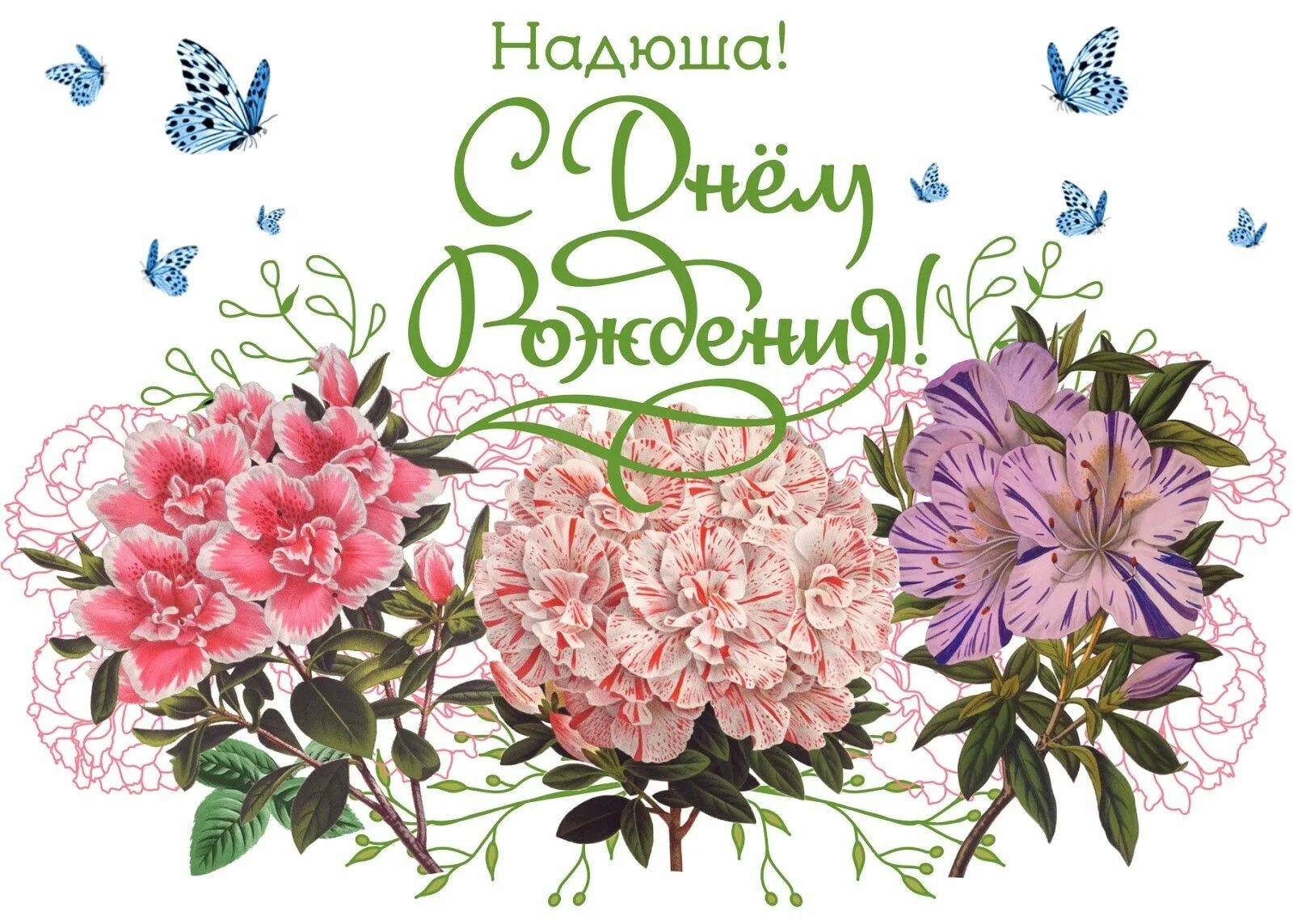 Надюша, с днём рождения! Желаю чтобы жизнь не стояла на месте, а менялась в лучш