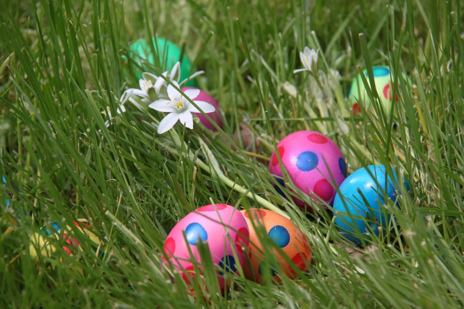 Спрятанные пасхальные яйца. Easter 2x eggs outdoors. Пасха в 2022 яйцо фото. Прятание яиц на пасху. Hide eggs.