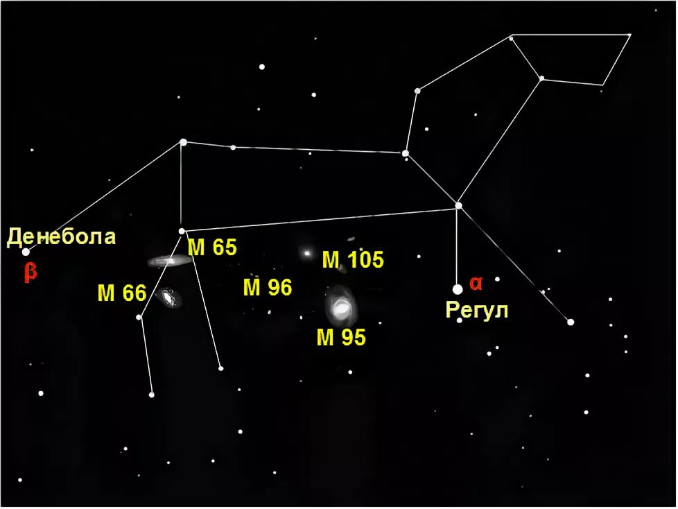 Регул какая звезда. Звезда регул в созвездии Льва. Созвездие Лев Альфа звезда. Звезда Денебола бета Льва. Лев Созвездие схема самая яркая звезда.
