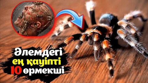 Күйеуі әйелімен ресейлік МФФ үшін ажырасқан.