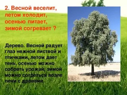 Ответ загадки весной веселит летом холодит