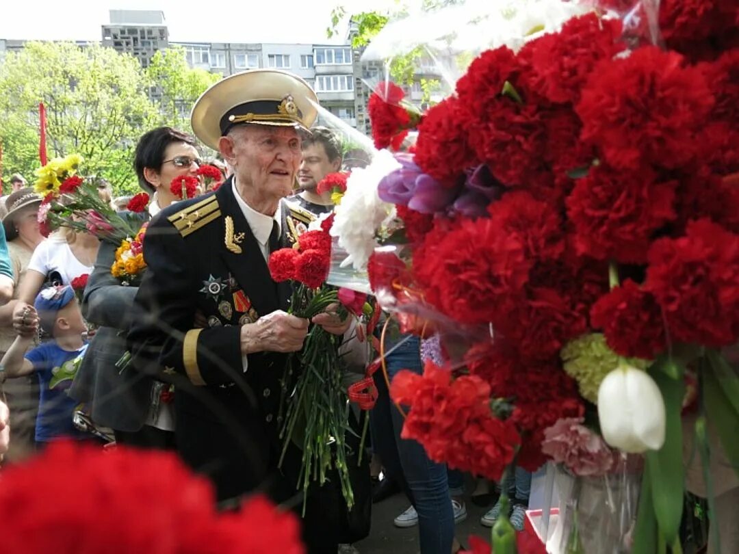Цветы ветеранам. Ветеран с гвоздиками. Ветеранам дарят цветы. Красные гвоздики и ветераны.