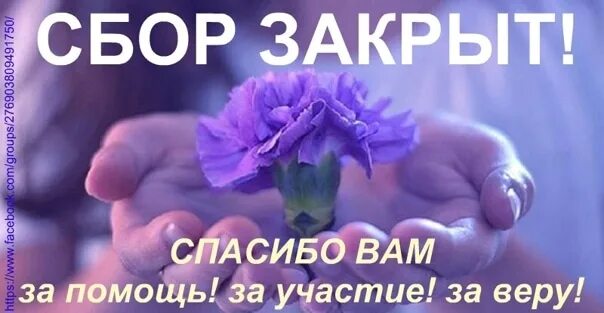 Спасибо за сборы. Сбор закрыт спасибо. Сбор закрыт спасибо за помощь. Огромное спасибо сбор закрыт. Ура сбор закрыт.