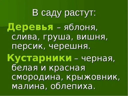 Природное сообщество сад