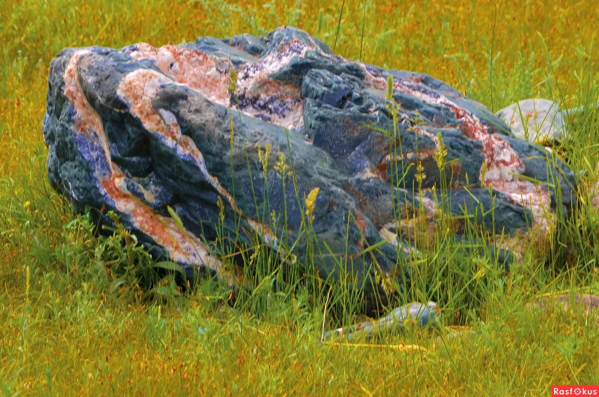 Алтайские камни. Камни горного Алтая. Камни Алтайского края. Валуны в Алтае. Куплю камней в алтайском крае