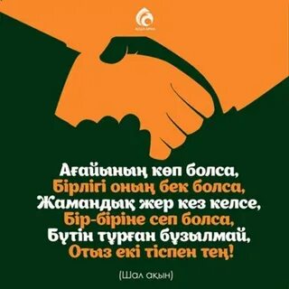 Шикі мысықты жалайды