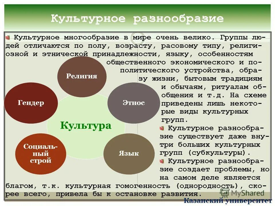 Тест культура и ее многообразие