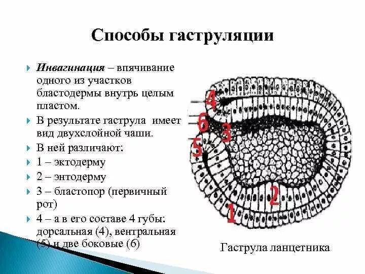 Способ при котором происходит