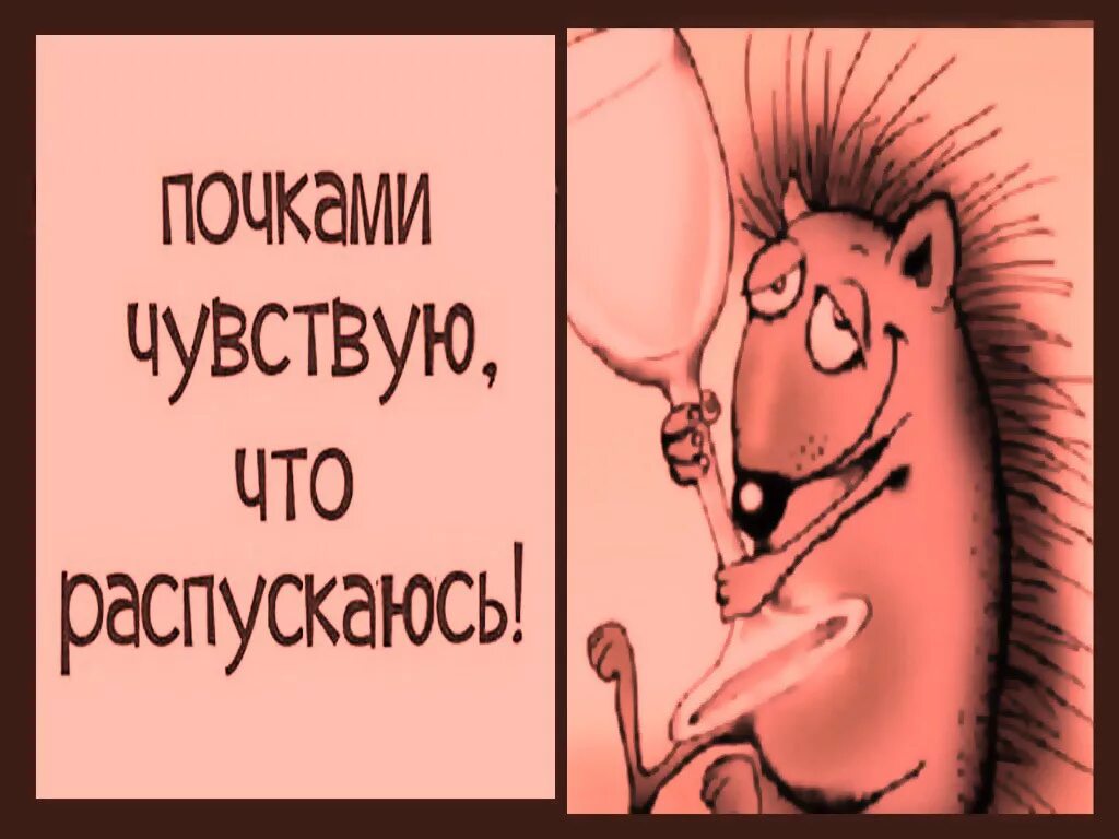 Весеннее обострение приколы. Шутки про Весеннее обострение. Прикол про психов и весну.