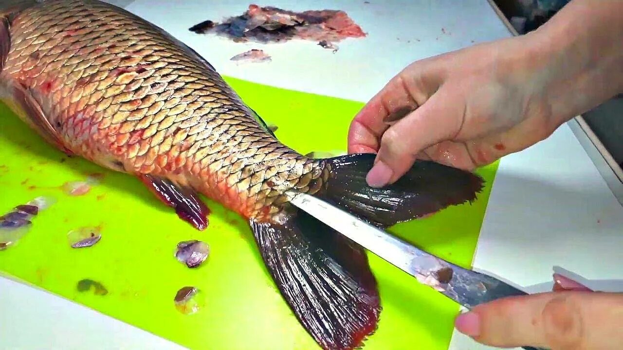 Как быстро почистить сазана
