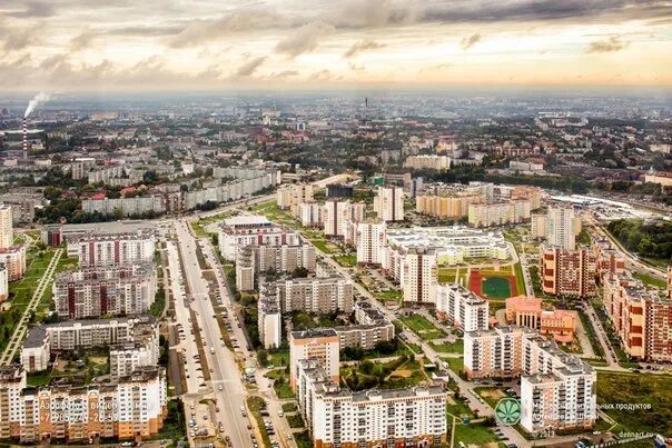 КОГДА СЕЛЬМА БЫЛА ПРОЕКТОМ ✅ Предлагаем вам ознакомиться с небольшой статьей из 