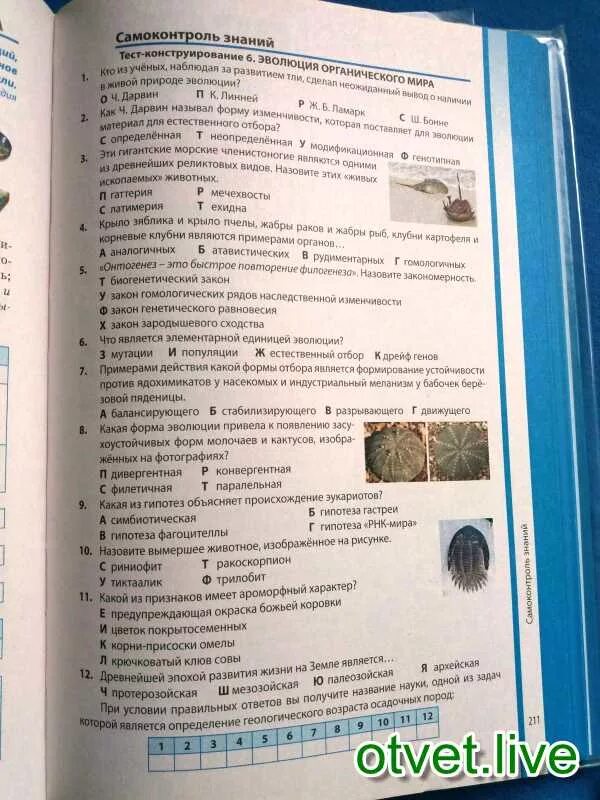 Тест по теме доказательства эволюции. Тест по теме доказательства эволюции