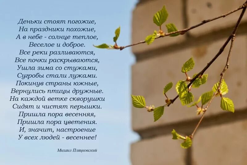 Стихотворение о весне. Стих про весну. Стихотворение деньки стоят погожие.