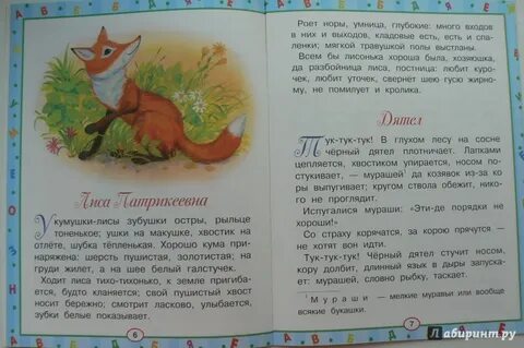 У кумушки лисы