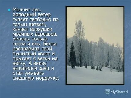 Мини сочинение в зимнем лесу