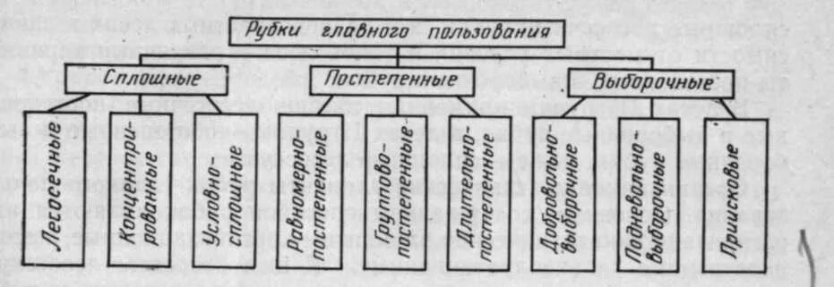 Какие виды рубки. Схема рубок главного пользования. классификация видов рубок. выборочные рубки классификация схема. формы рубок лесных насаждений и их классификация.