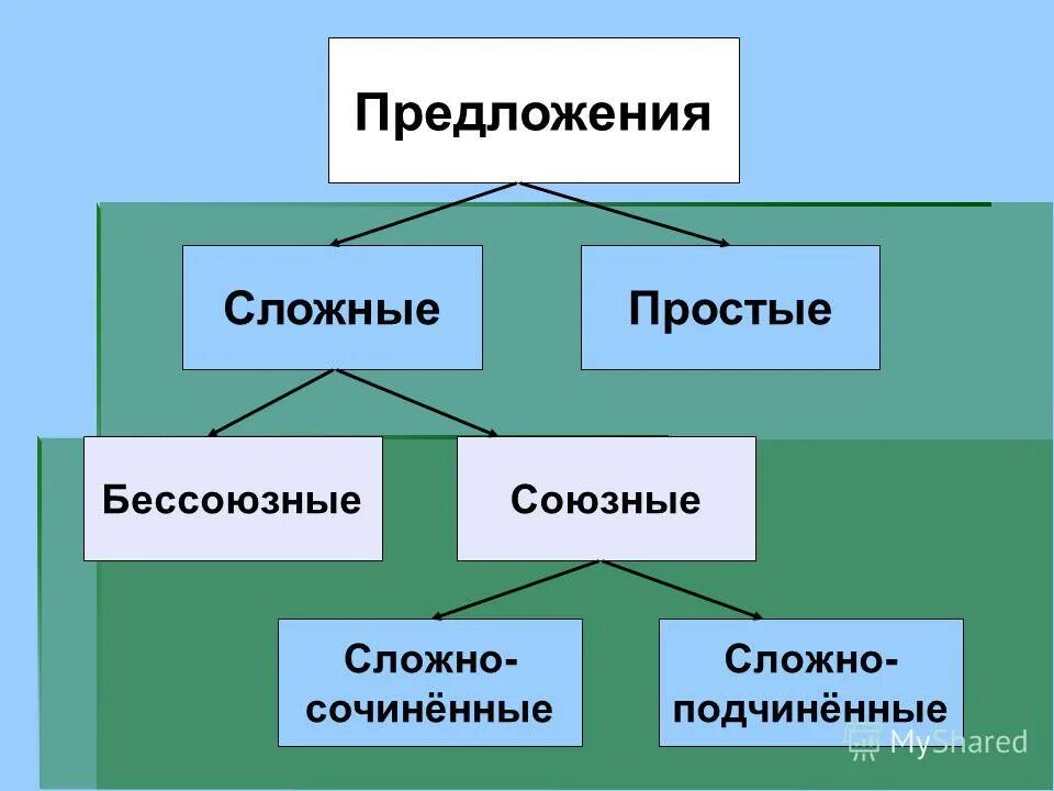 Союзные и бессоюзные связи 9 класс. Кластер сложное предложение. Клистер по теме сложное предложение. Кластер по теме сложное предложение. Кластер на тему сложное предложение.