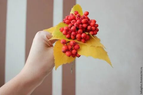 Осенний букет из листьев и рябины