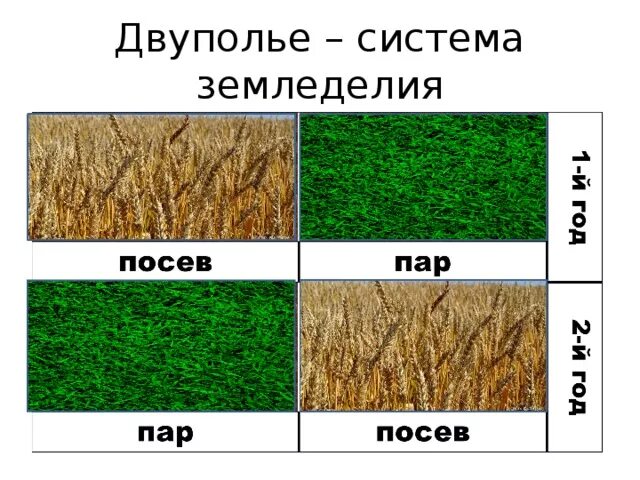 Какие преимущества имеет трехпольная система обработки земли. Двуполье система земледелия. Двуполье Трехполье земледелие славян. Система двуполья и трехполья. Двуполье это в древней Руси.