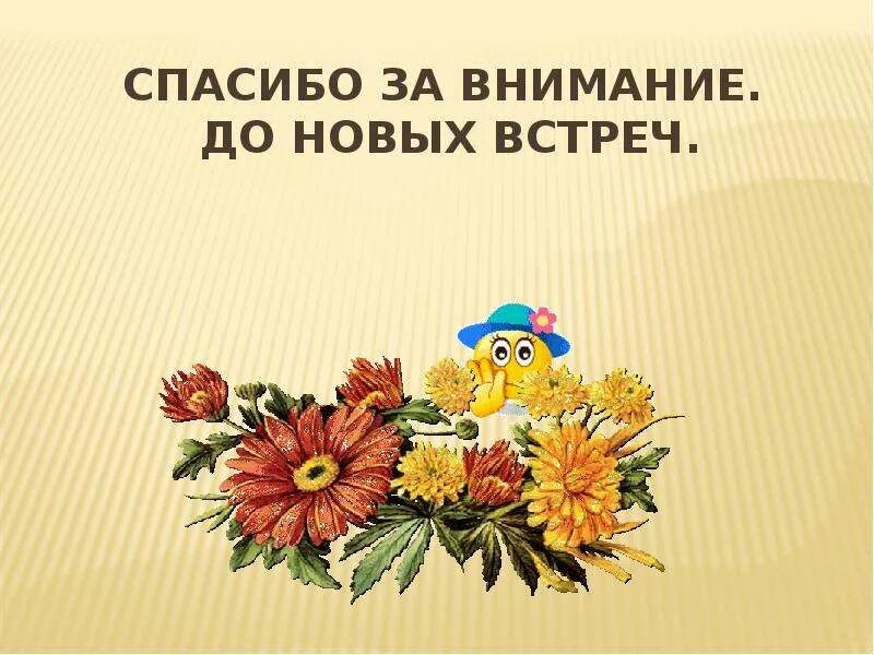 Спасибо за внимание. Спасибо занимание до новых встреч. Спасибо аз внимание. Благодарю за внимание. Спасибо до новых встреч