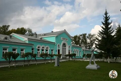Стена болотное