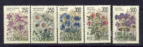 1995 РФ Полевые цветы (СК 216-20) 