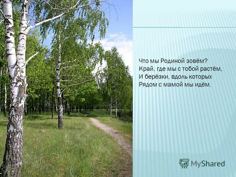 С д родине