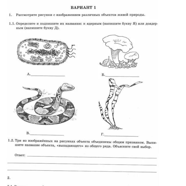 Впр по биологии 7 класс. Биология вариант 1. ВПР по биологии шестой класс вариант один. Задание ВПР 6 класс по биологии 1 задание. Рассмотрите рисунки с изображением.