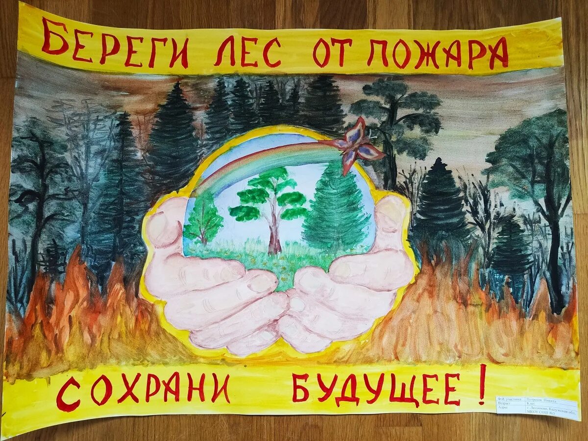 Проект защитники леса 7 класс Новости