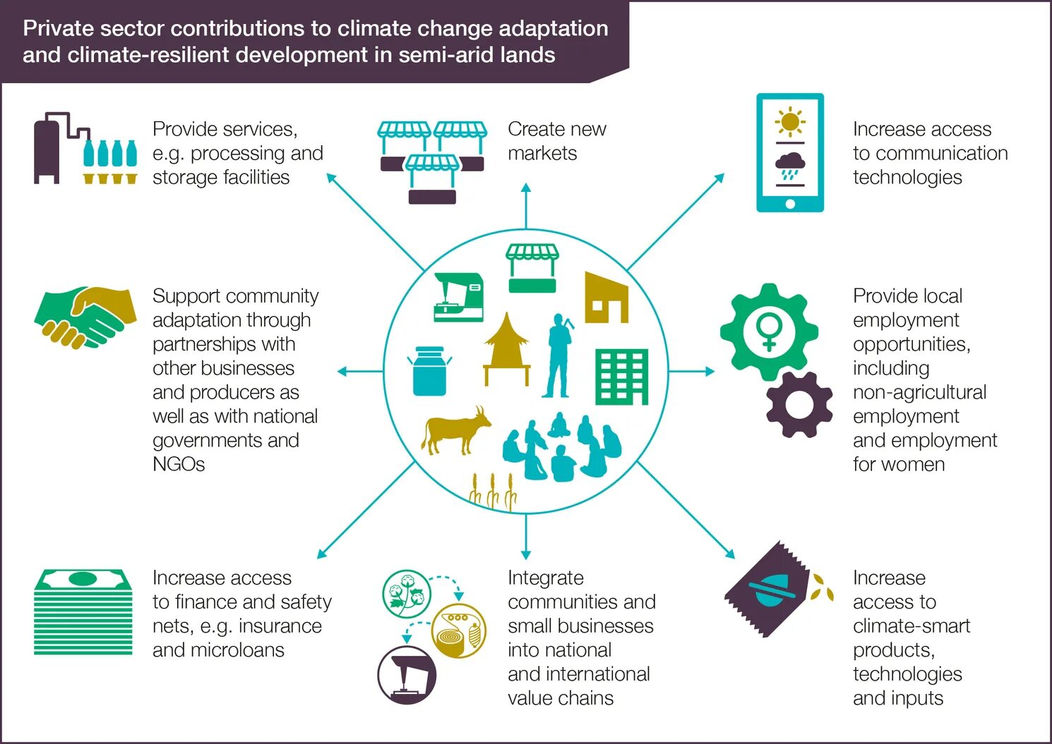 Private sector. Climate change and adaptation. Private sector climate change. Adaptation in Management. Climate changing and adaptation.