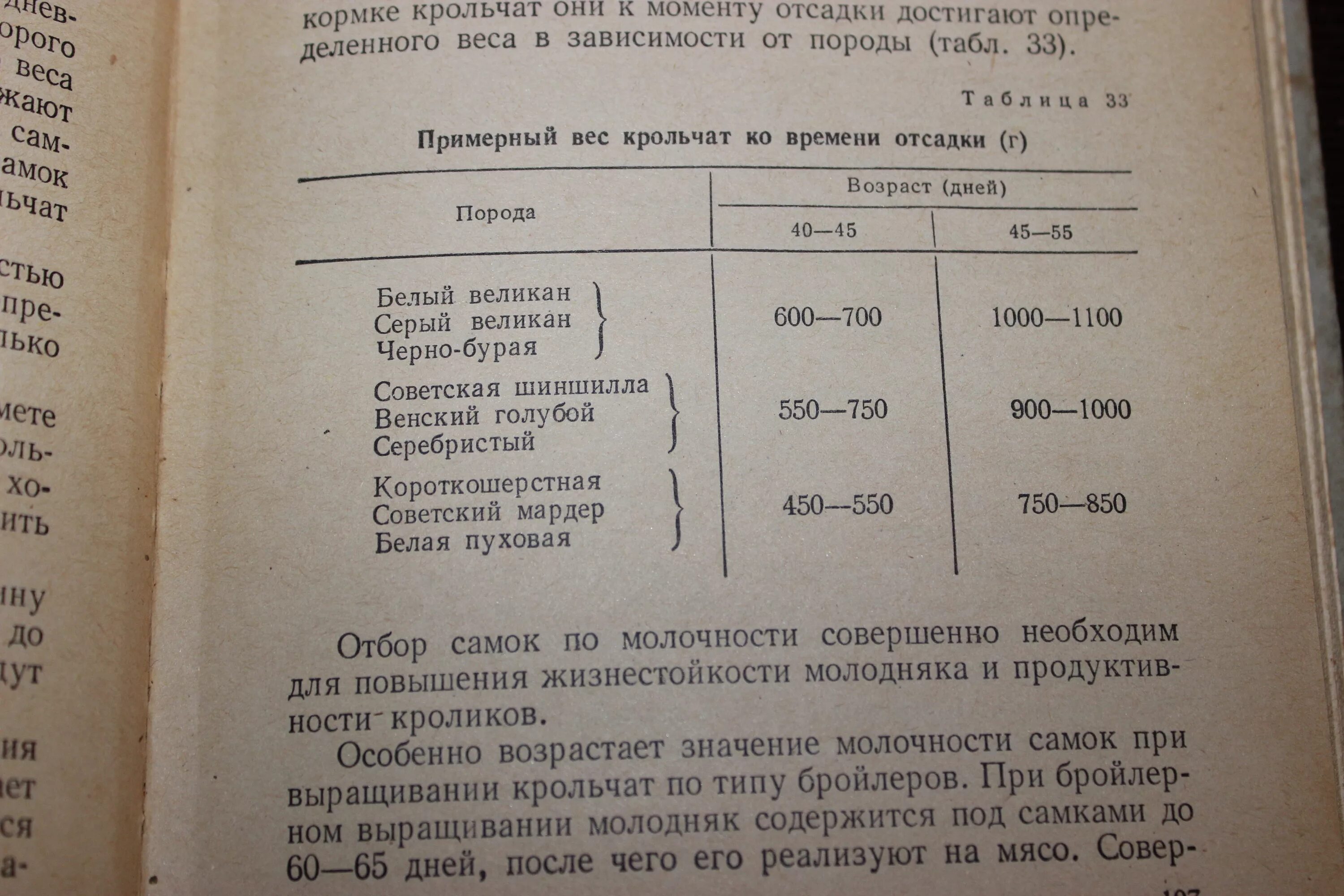 Год кролика для весов. Полтавское серебро кролики. Серый великан кролик вес. 2011 год весы. Характеристика кролика весы.