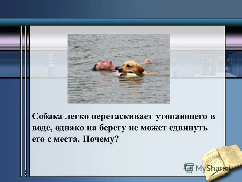 Собака легко перетаскивает утопающего в воде