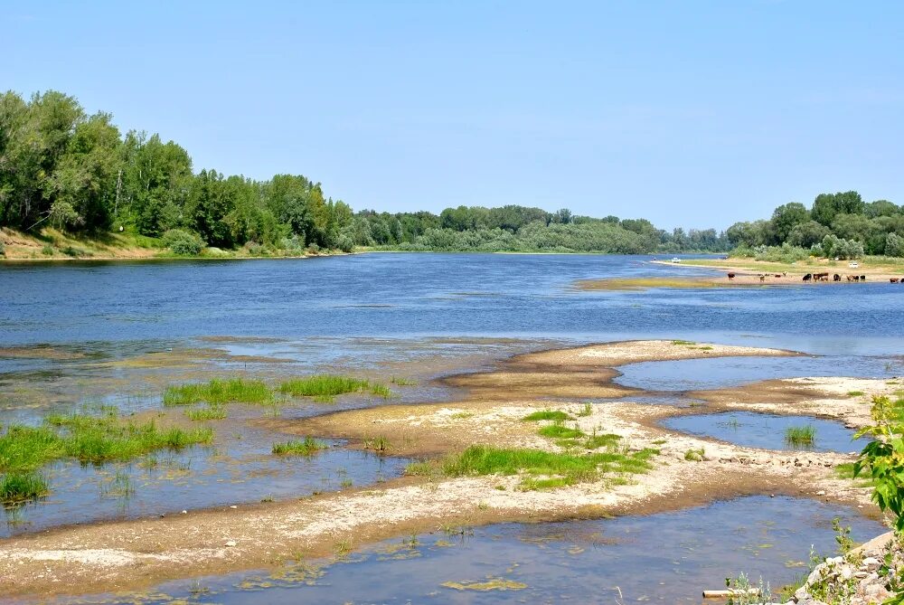 низкая межень. берег реки вилюй. межень реки это. низкий уровень воды в реке. межень какие реки.