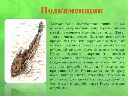 Красная книга обыкновенный