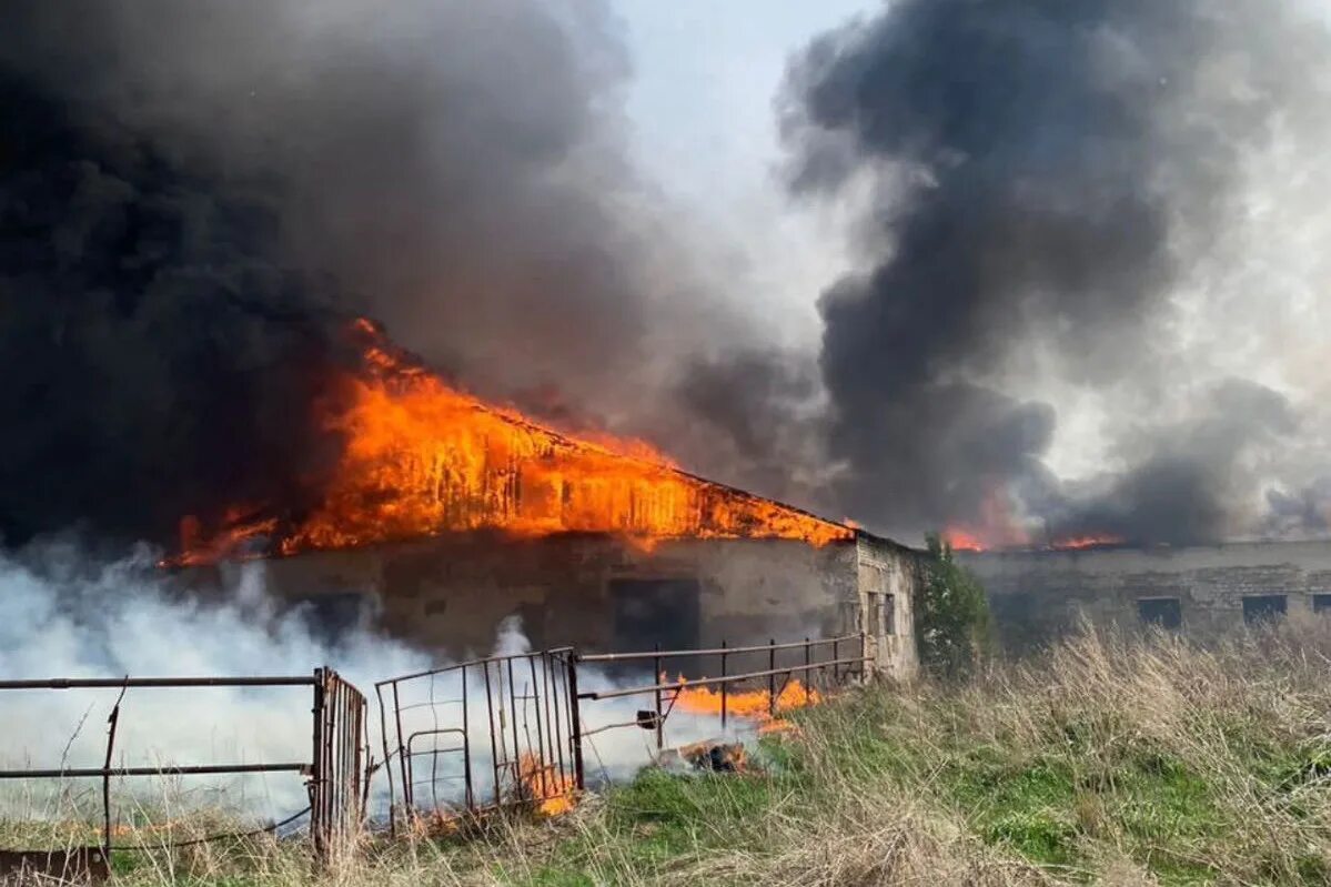 Противопожарный режим в тамбовской области. Что сейчас горит возле кургана,сильный едкий дым в заозерном. Горит недалеко. Дымка в питере. Крупный пожар вчера недалеко от звенигорода.