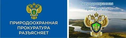 Природоохранная деятельность органов прокуратуры