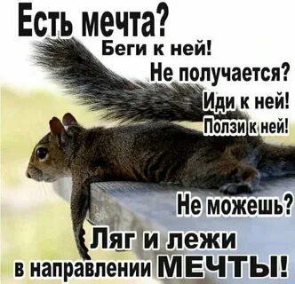 В этом направлении все чаще