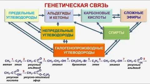 Органические связи организации