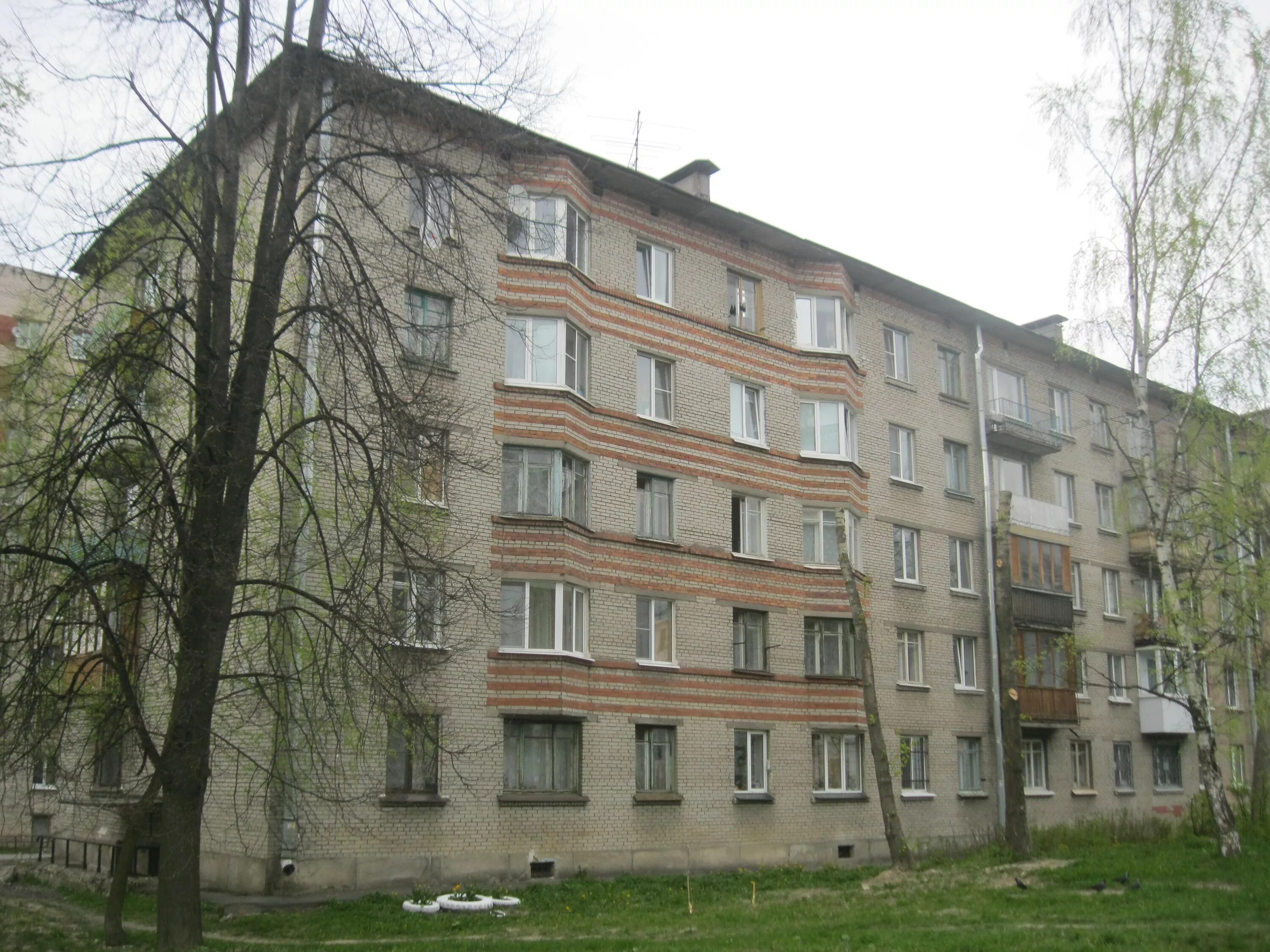 Санкт петербург политрука пасечника. Улица политрука Пасечника. Улица политрука Пасечника Санкт-Петербург. Санкт-Петербург политрука Пасечника дом2. Политрука Пасечника дом 2.