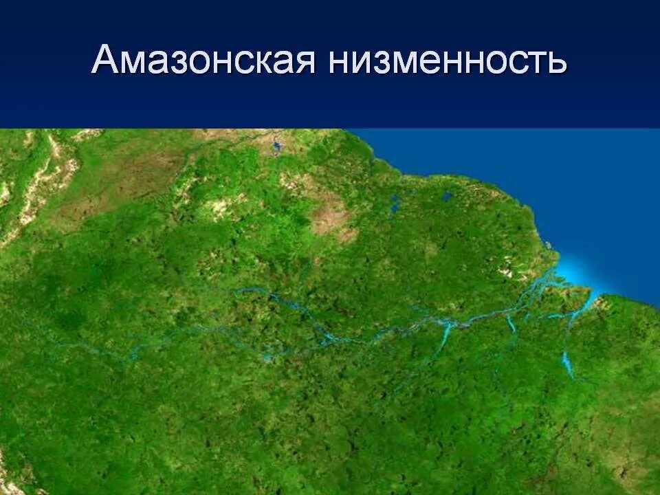 Амазонская низменность понижение рельефа в каком направлении. Равнина Амазонская низменность. Карта амазонской низменности с реками. Местоположение амазонской низменности. Амазонска я неизменность.