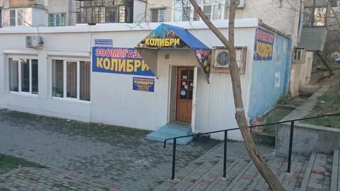 Улица волгоградская новороссийск