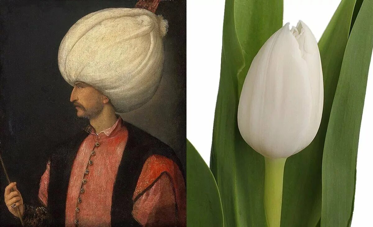 Во сколько сулейман стал султаном. Османская Империя Сулейман великолепный. Сулейман великолепный портрет. Султана Сулеймана Кануни.