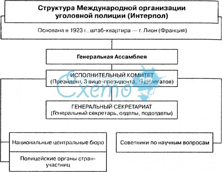 Международные уголовные органы. Структура организации Интерпола. Интерпол структура и функции. Международные структуры Интерпола. Структура НЦБ Интерпола.