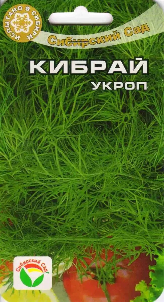 Укроп кибрай. Укроп сорт Кибрай. Семена укроп Кибрай. Укроп сорт Леший. Укроп кустовой.