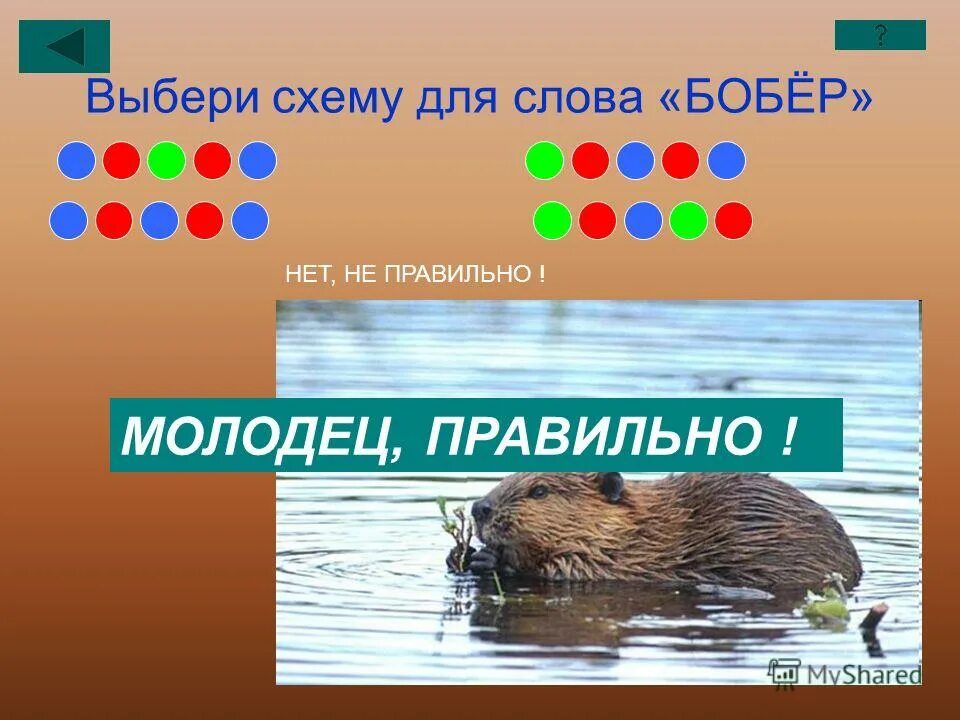 Бобры проверочное. Схема слова бобры. Бобер схема. Схема слова бобер. Бобры цветовая схема.