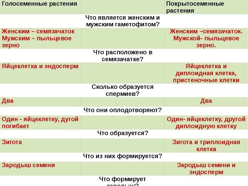 Эндосперм голосеменных растений является видоизмененным женским гаметофитом. Эндосперм голосеменных растений является видоизмененным женским гаметофитом