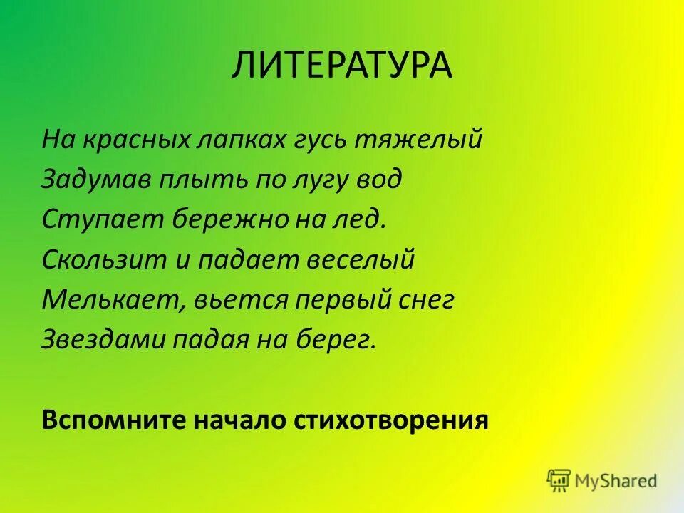 Гадание на гусиной лапе. На красных лапках Гусь тяжелый. На красных лапках Гусь тяжёлый задумав плыть. Скользит и падает веселый. Стих на красных лапках Гусь тяжелый задумав плыть по лону вод.